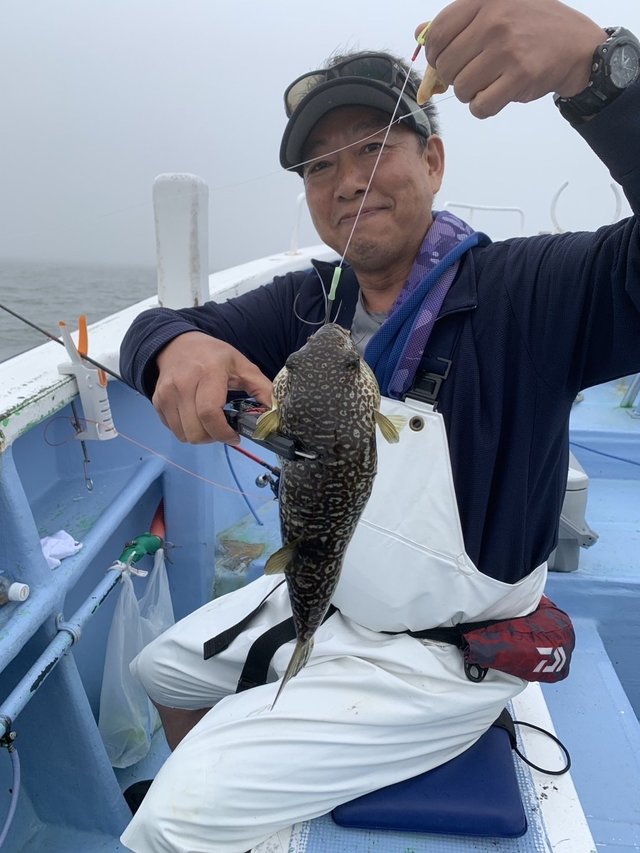 ショウサイフグ