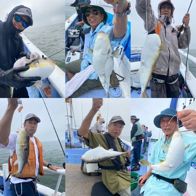 ショウサイフグ