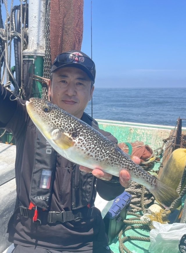 ショウサイフグ