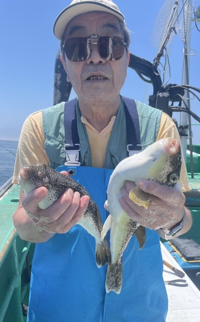 ショウサイフグ