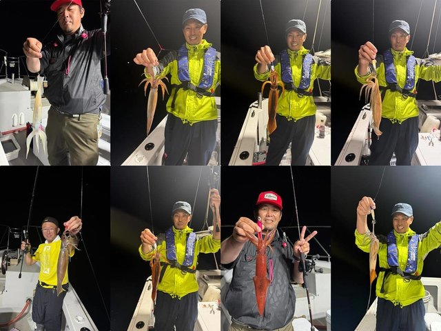 ケンサキイカ・スルメ(スルメイカ)