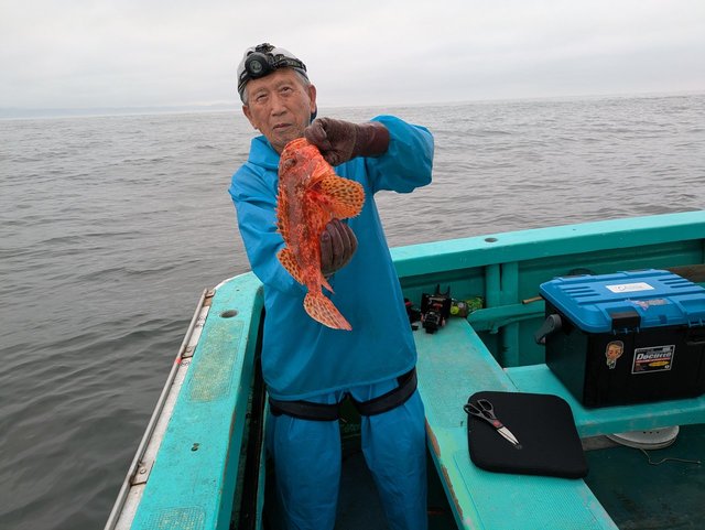 オニカサゴ(イズカサゴ)