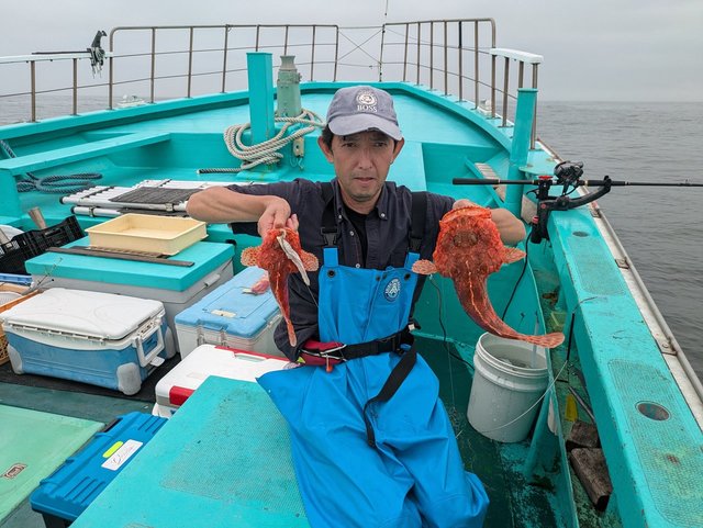 オニカサゴ(イズカサゴ)