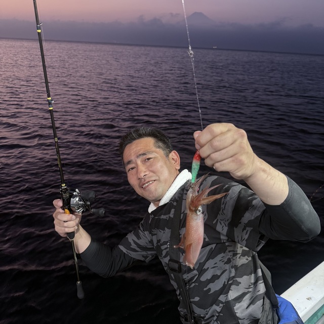 マルイカ(ケンサキイカ)