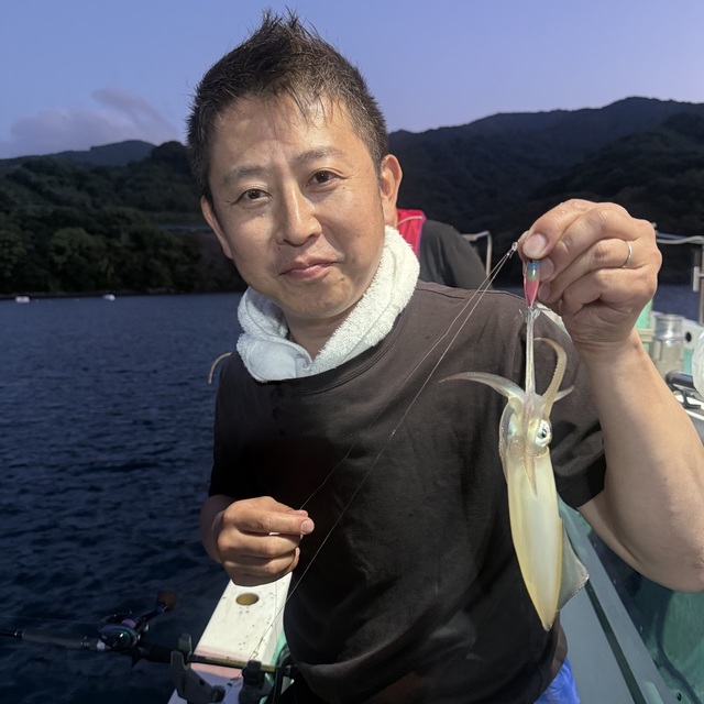 マルイカ(ケンサキイカ)