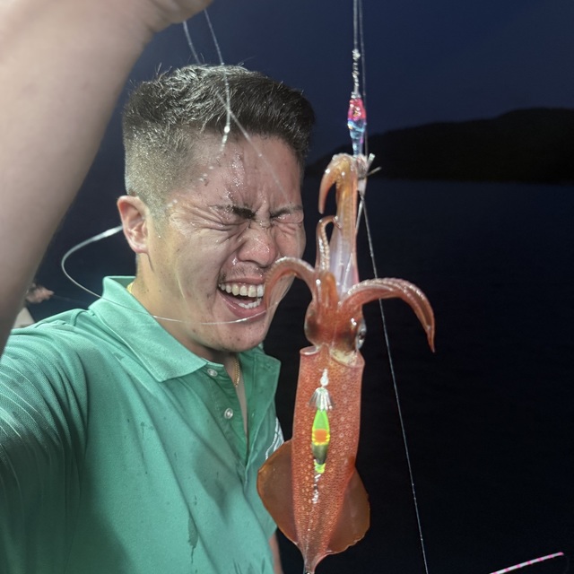 マルイカ(ケンサキイカ)