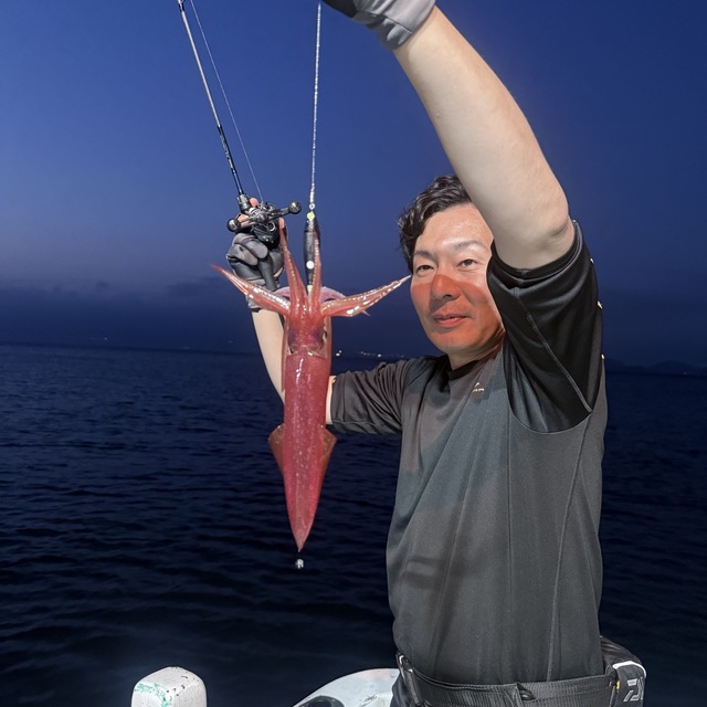 マルイカ(ケンサキイカ)