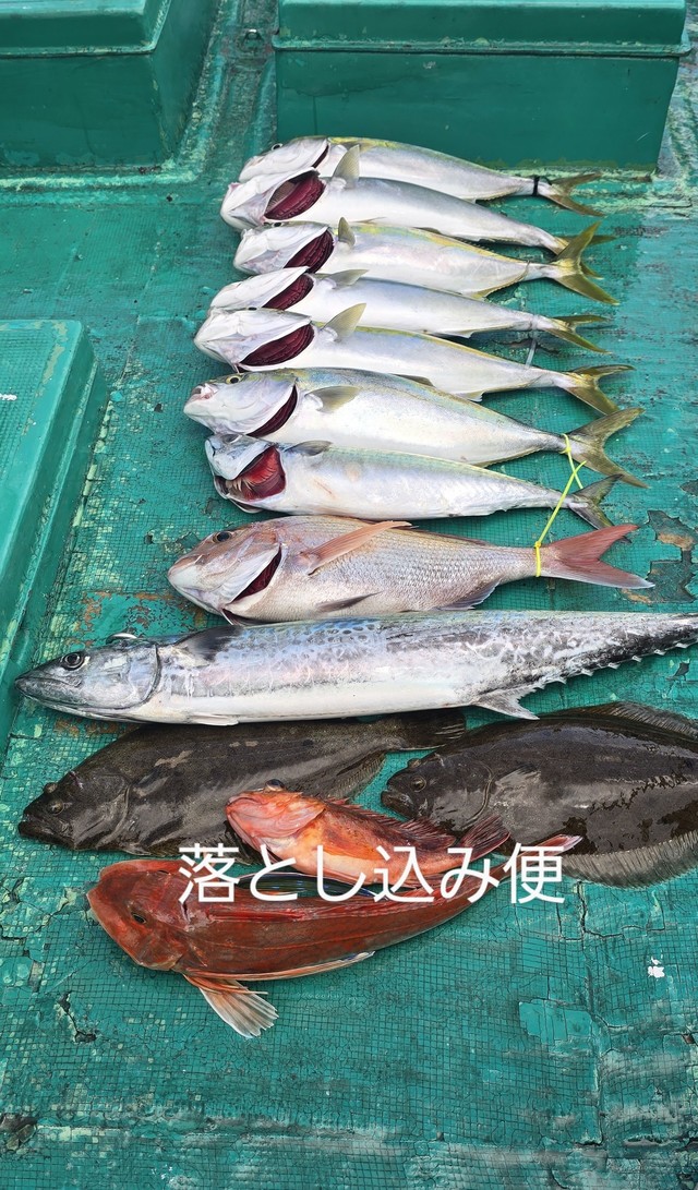 マダイ・サワラ・ヒラメ