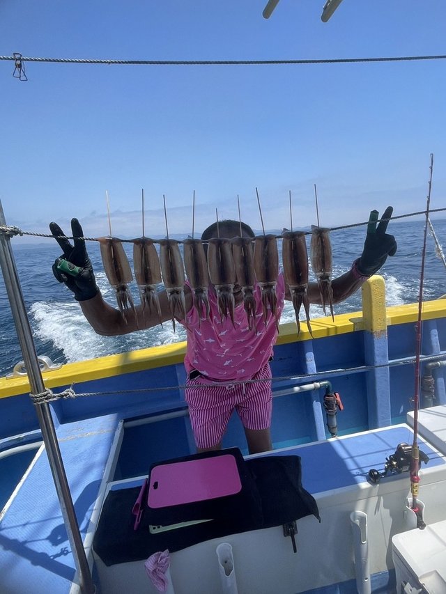 スルメ(スルメイカ)