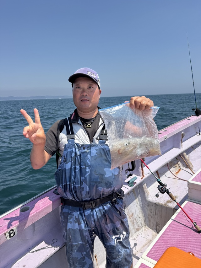 マルイカ(ケンサキイカ)