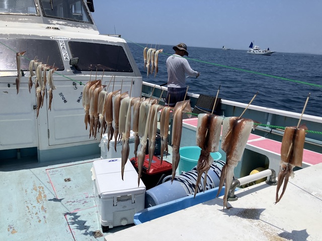 スルメ(スルメイカ)