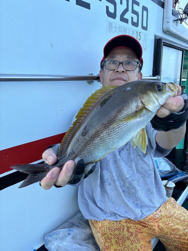 イサギ(イサキ)