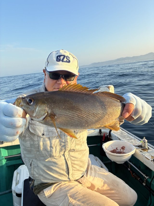 イサギ(イサキ)