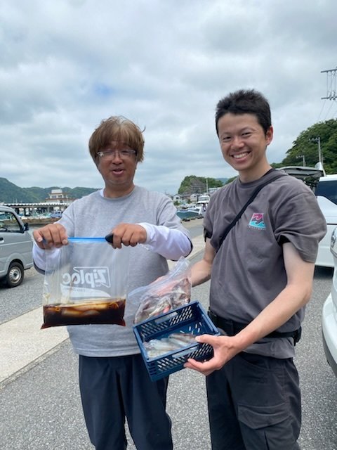 マルイカ(ケンサキイカ)