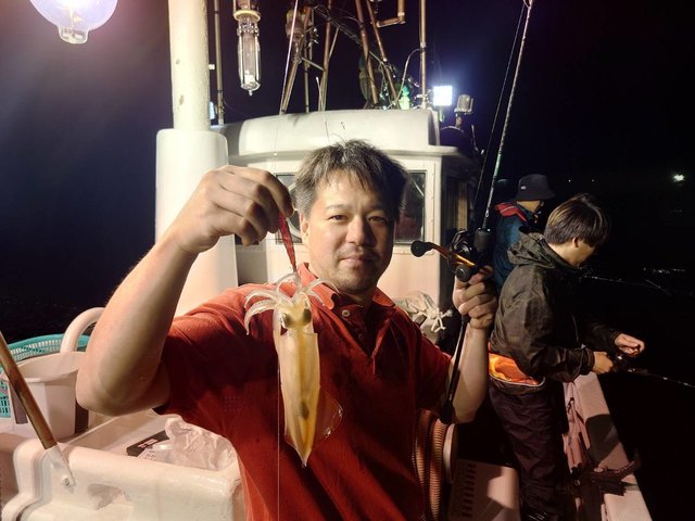 マイカ(ケンサキイカ)