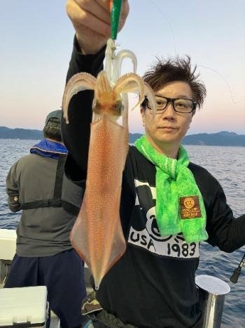 マイカ(ケンサキイカ)