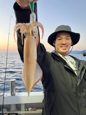 マイカ(ケンサキイカ)