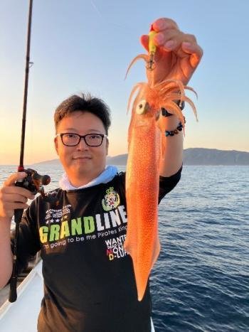 マイカ(ケンサキイカ)