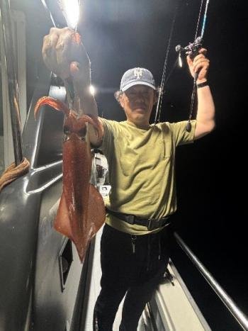 マイカ(ケンサキイカ)