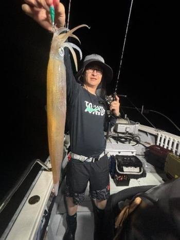 マイカ(ケンサキイカ)