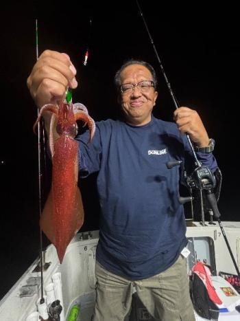 マイカ(ケンサキイカ)