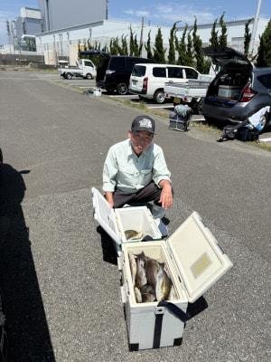 イサギ(イサキ)