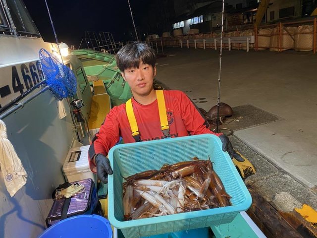 ムギイカ(スルメイカ)