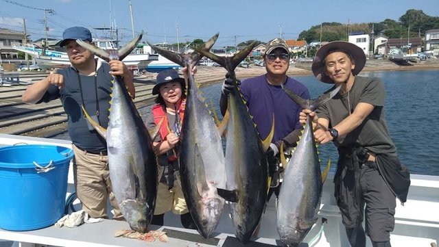 キハダマグロ(キハダ)