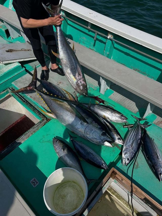 キハダ・キメジ(キハダ)・カツオ