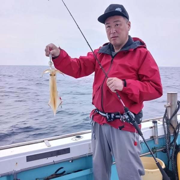 イカ(ヤリイカ)