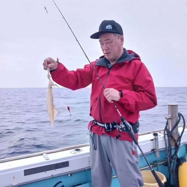 イカ(ヤリイカ)