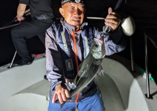 シーバス(スズキ)