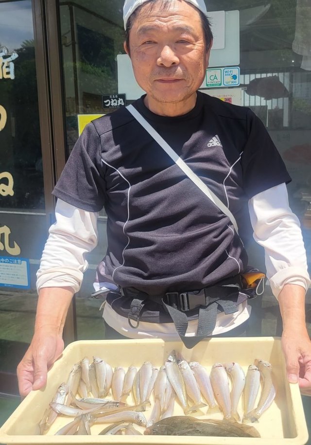 キス(シロギス)