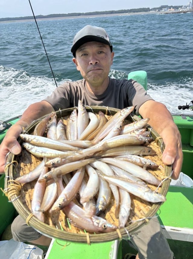 キス(シロギス)