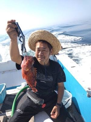 ウッカリカサゴ