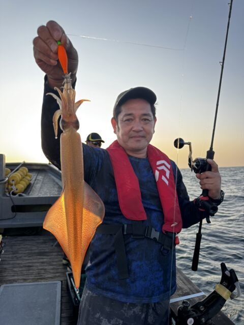 イカ(ヤリイカ)