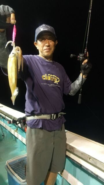 マイカ(ケンサキイカ)