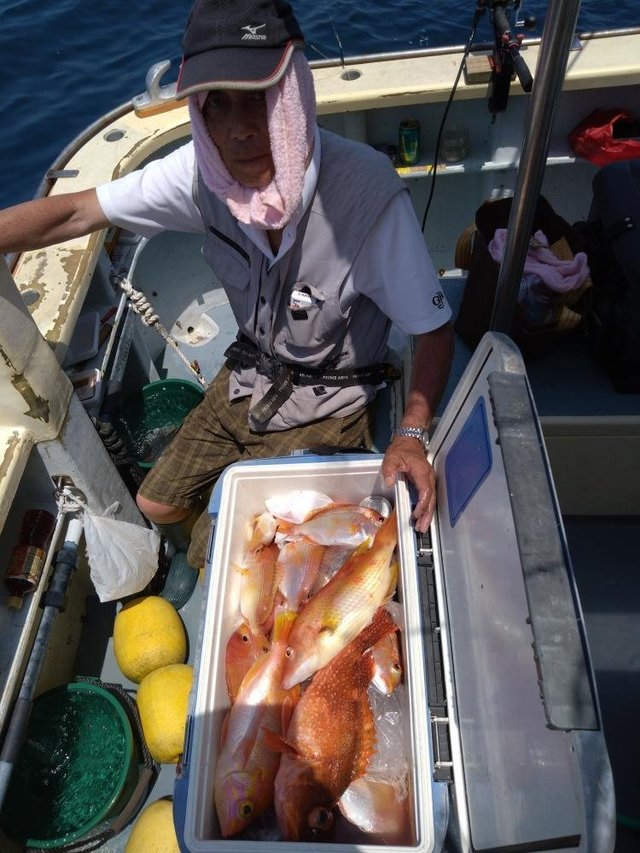 レンコダイ(キダイ)