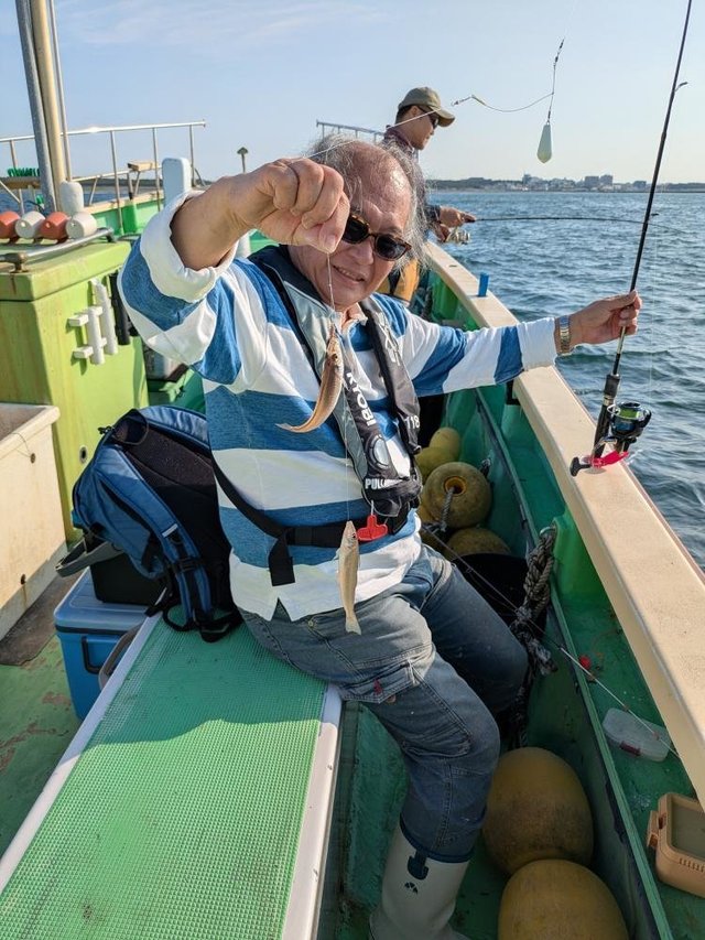 シロキス(シロギス)