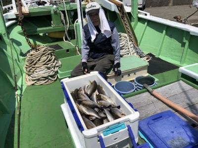 イサギ(イサキ)