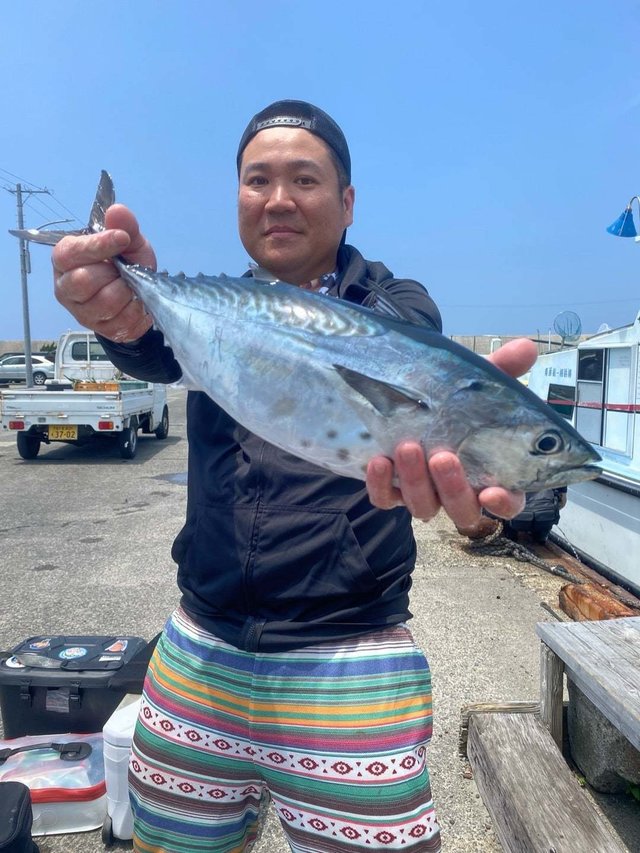 スマガツオ(スマ)