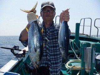 キメジ(キハダ)