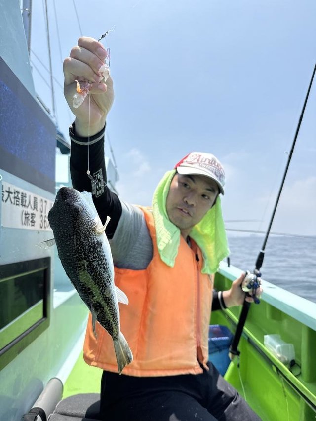 フグ(ショウサイフグ)