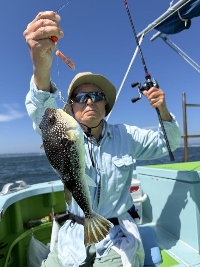 フグ(ショウサイフグ)