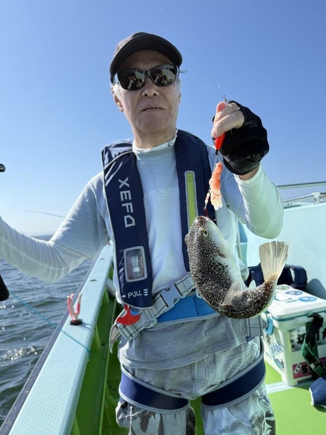 フグ(ショウサイフグ)