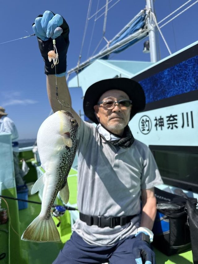 フグ(ショウサイフグ)