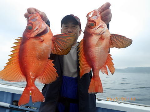 キントキ(チカメキントキ)