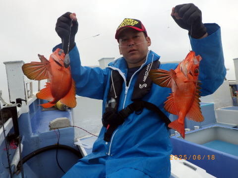 キントキ(チカメキントキ)