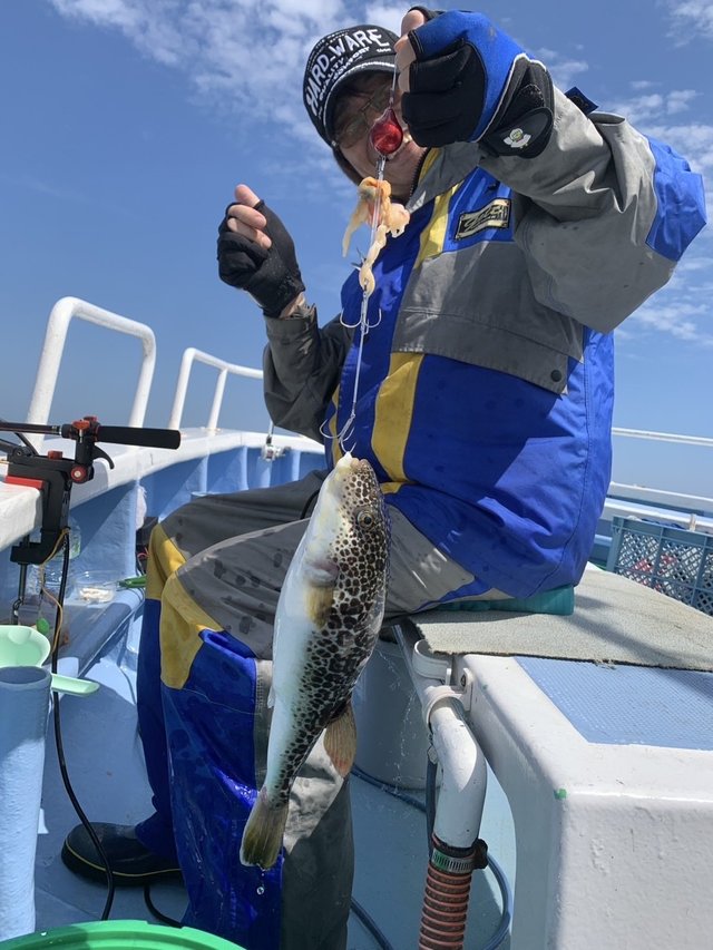 ショウサイフグ