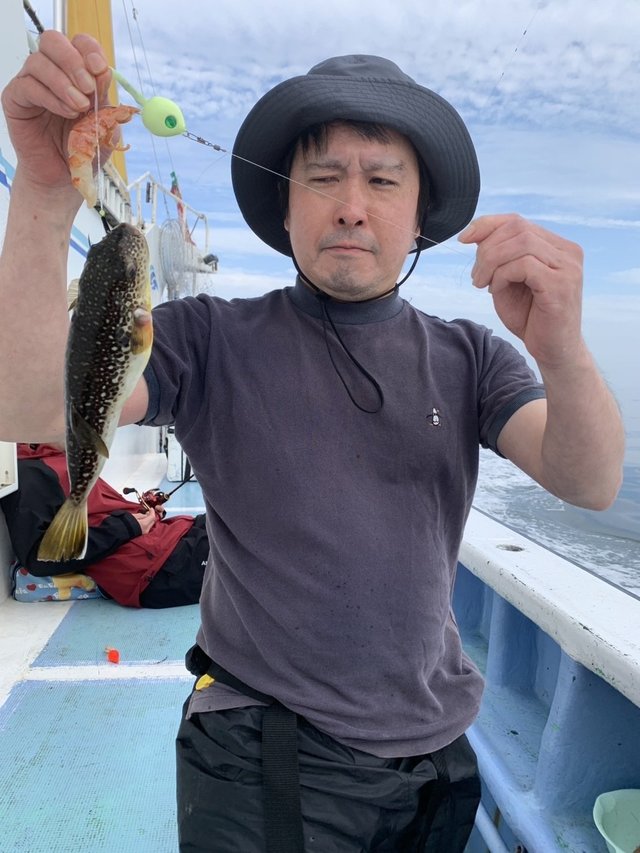 ショウサイフグ